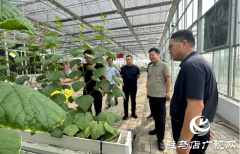 驻马店市农科院专家组赴企业调研 为企业发展献策献力