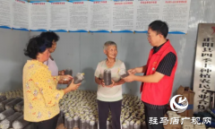 驻马店市农科院专家到正阳县开展食用菌技术服务