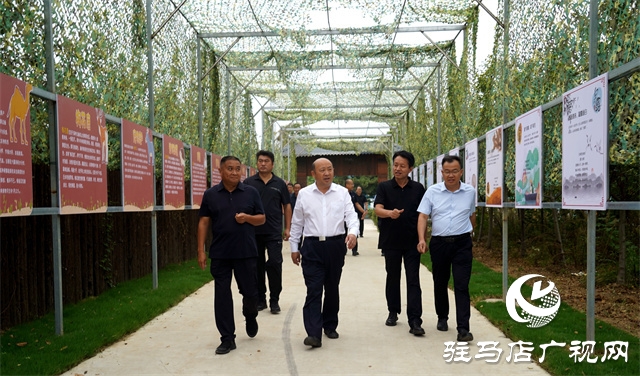 泌阳县委副书记、县长朱东升中秋节前督导检查安全生产和节日商品保供等工作