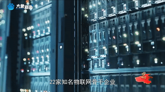 回响｜向新而行