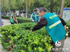 驻马店：初秋养护正当时 园林绿化焕新颜