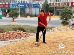 新蔡县龙口镇：开展金秋助农志愿服务 确保秋粮颗粒归仓