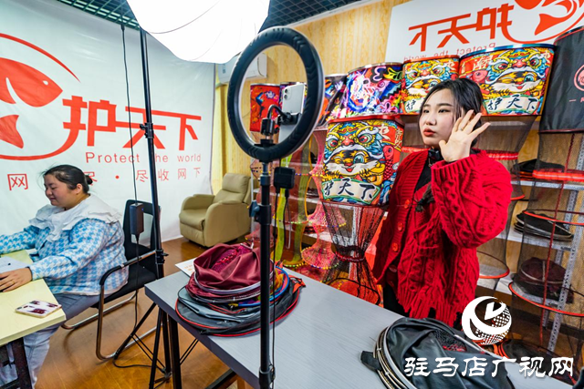 西平县:双“网“织出大产业