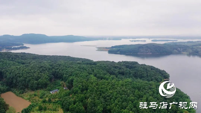 泌阳县黄山口乡：秋色如画 醉了人间