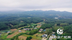 泌阳县黄山口乡：秋色如画 醉了人间
