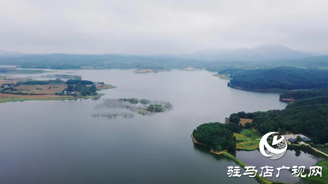 泌阳县黄山口乡：秋色如画 醉了人间