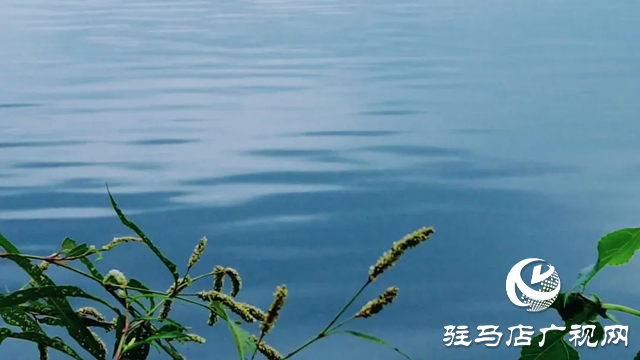 泌阳县黄山口乡：秋色如画 醉了人间