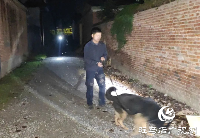 4岁女童独自骑车走失 上蔡百名民警深夜搜救找回