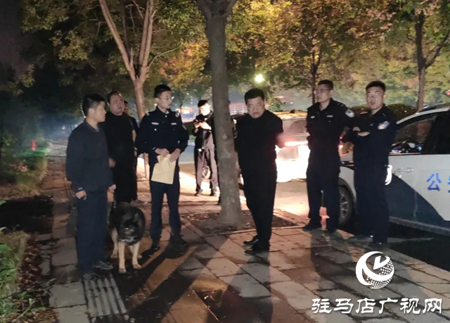 4岁女童独自骑车走失 上蔡百名民警深夜搜救找回