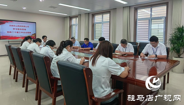 河南乐山电缆:以全会精神为指引 实现企业高质量发展