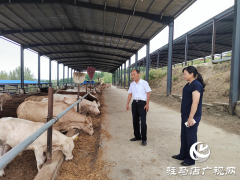 驻村书记刘莉：倾心为民谋福祉 带领河南村迈向幸福路