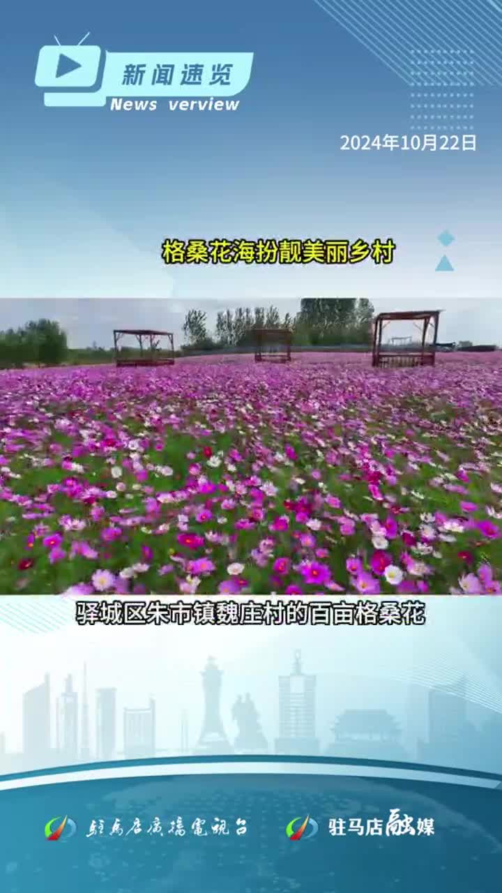市场监管总局对网络直播平台食品安全开展专项抽检；驻马店交警严查“飙车炸街”交通违法行为|《新闻速览》