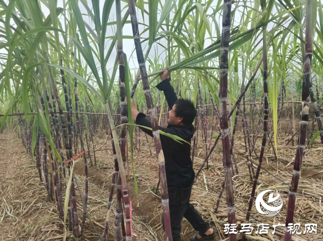 图片5.png