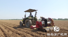 驻马店：深耕细种小麦  筑牢夏粮生产基础