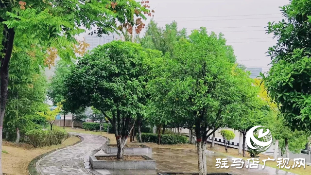 泌阳县双龙公园：走进雨中公园 感受浓郁秋意