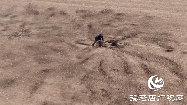 正阳县：畜禽粪污资源化利用助推绿色种养循环农业高质量发展