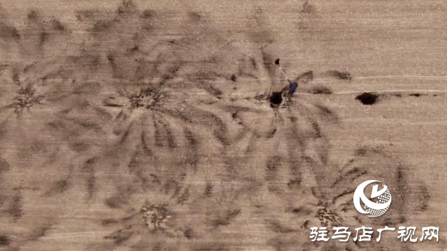正阳县：畜禽粪污资源化利用助推绿色种养循环农业高质量发展