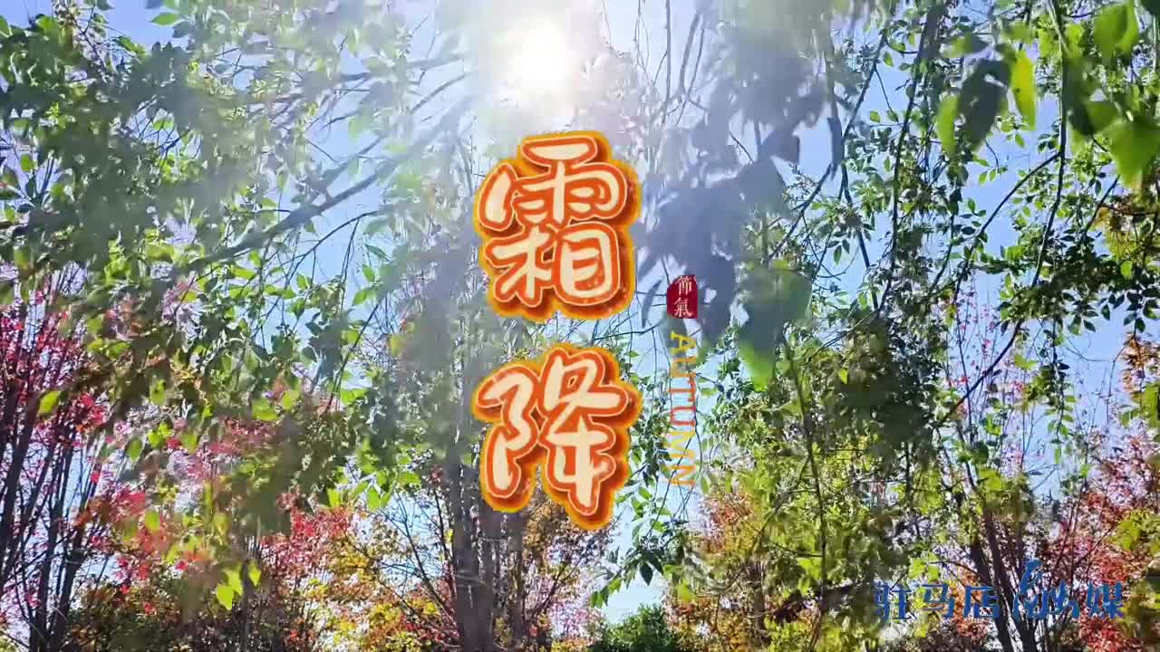 秋天收尾 今日霜降