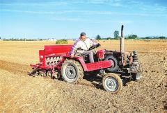 全省小麦播种进度过半 霜降到立冬 种麦莫放松