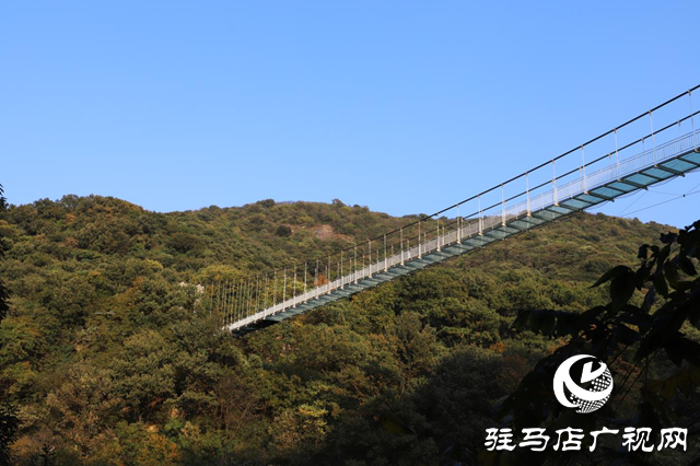 驿城区网络名人到金顶山风景区采风