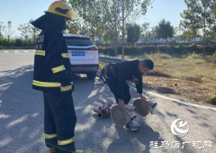 驿城区沙河店镇：反诈培训进基层 筑牢安全“防护网”