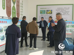 平舆县民政局：积极引导帮扶村发展特色产业 助推乡村振兴