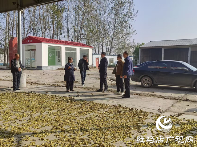 平舆县民政局:积极引导帮扶村发展特色产业 助推乡村振兴