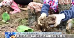 霜降时节对农事活动有影响吗？专家解读