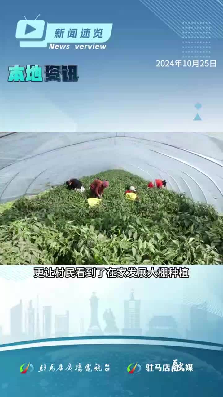 我国一揽子增量政策加快落地；河南省创新型企业梯次培育又上新台阶；驻马店举办直播带岗活动|《新闻速览》