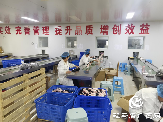 确山县妇联走访省级“巧媳妇”示范基地