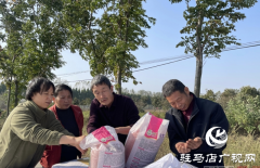 平舆县：“科技大餐”送田间  确保冬小麦应播尽播