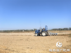 驿城区沙河店镇：秋收秋种不误时 抢收抢种绘“丰”景
