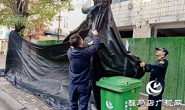 正阳县：市容整治再发力 城市容貌焕新颜