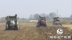 上蔡县：高质量推进冬小麦播种  确保小麦大面积单产提升
