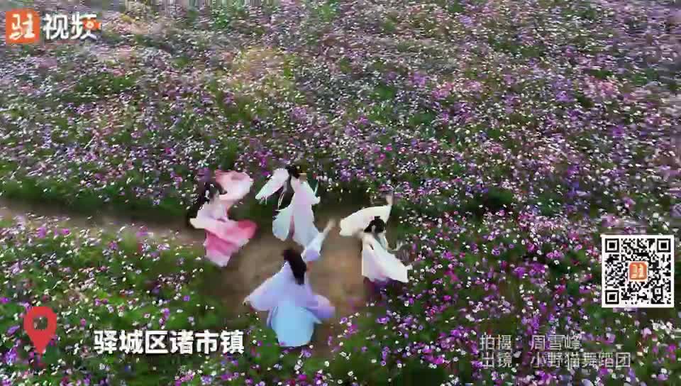 驻马店市2024年退役军人秋季专场招聘会举行，打卡驻马店最美格桑花海......|《今日驻马店》咨询第44期