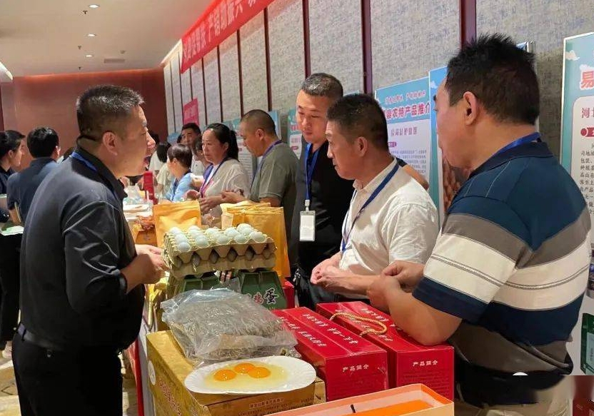 驻马店市“消费帮扶 产销对接”专项活动开幕