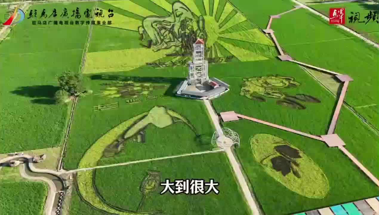 【记者节特别策划】仅以此片献给第25个中国记者节