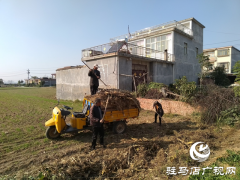 新蔡县顿岗乡：做好秸秆清运工作 助力秸秆禁烧