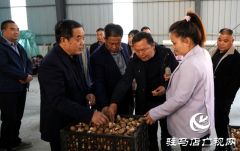 信阳市息县政协考察团到泌阳县考察食用菌产业发展