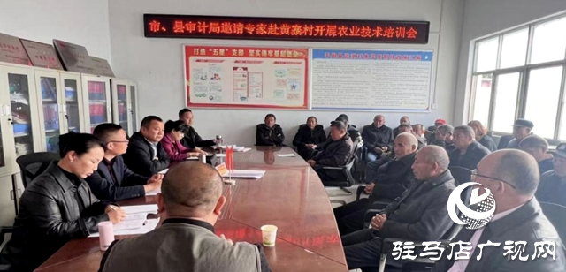 平舆县辛店乡：良种良田配良技丰产增收靠科技