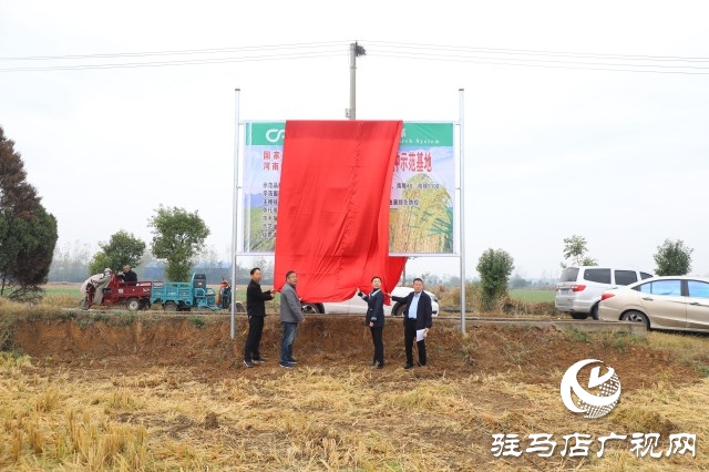 确山县留庄镇粳稻新品种种植示范基地揭牌