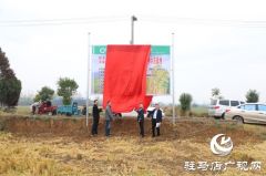 确山县留庄镇粳稻新品种种植示范基地揭牌