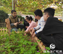 开展研学实践 探索自然奥秘