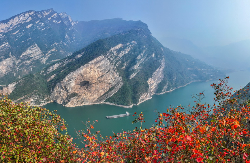 三峡红叶似彩霞