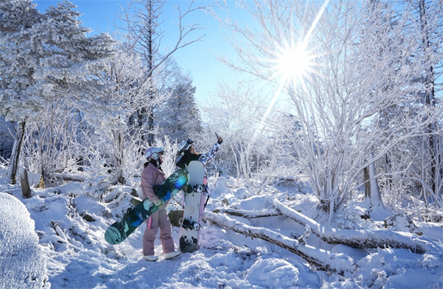 高山雾凇漫卷 玉树琼枝如画