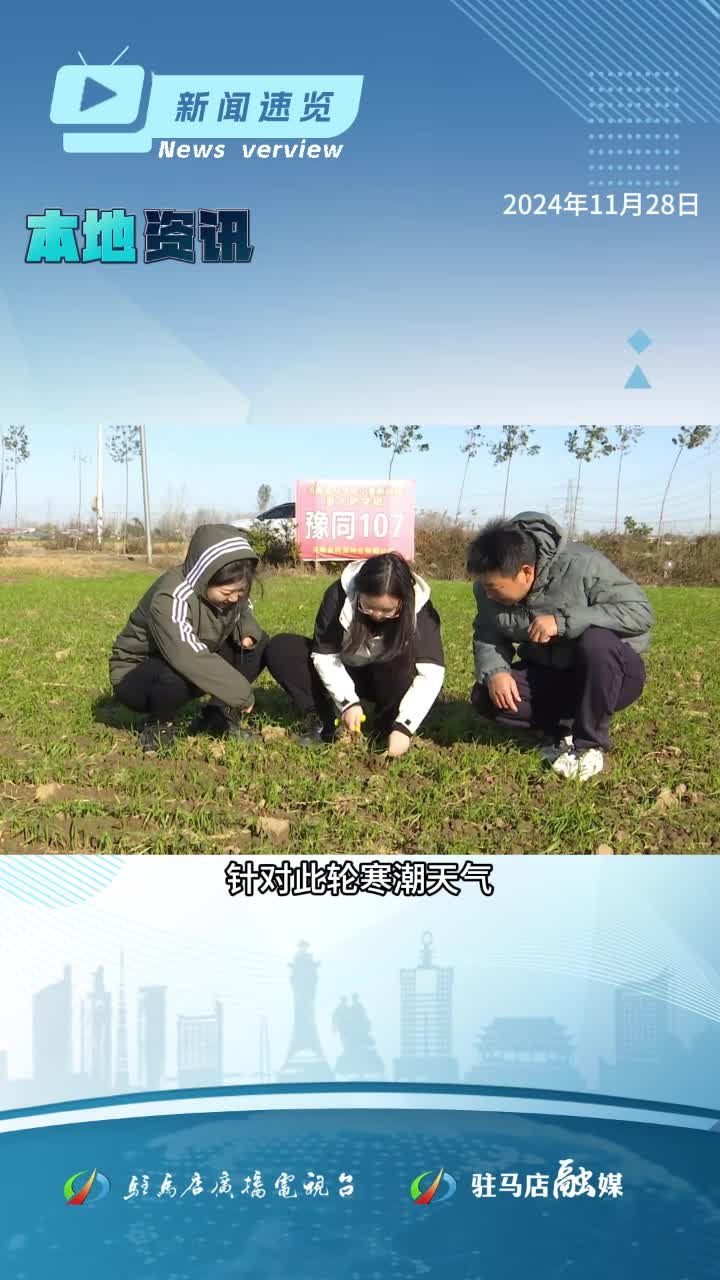 2024年下半年高等教育自学考试毕业申请即将开始|《新闻速览》