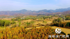 泌阳县曾沟：初冬乡野的绚丽画卷