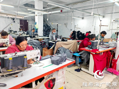 平舆县辛店乡辛店村：推动农村党建“双提升” 加速乡村振兴“新引擎”