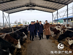 河南省农业农村厅畜牧处调研组到确山调研牛羊产业