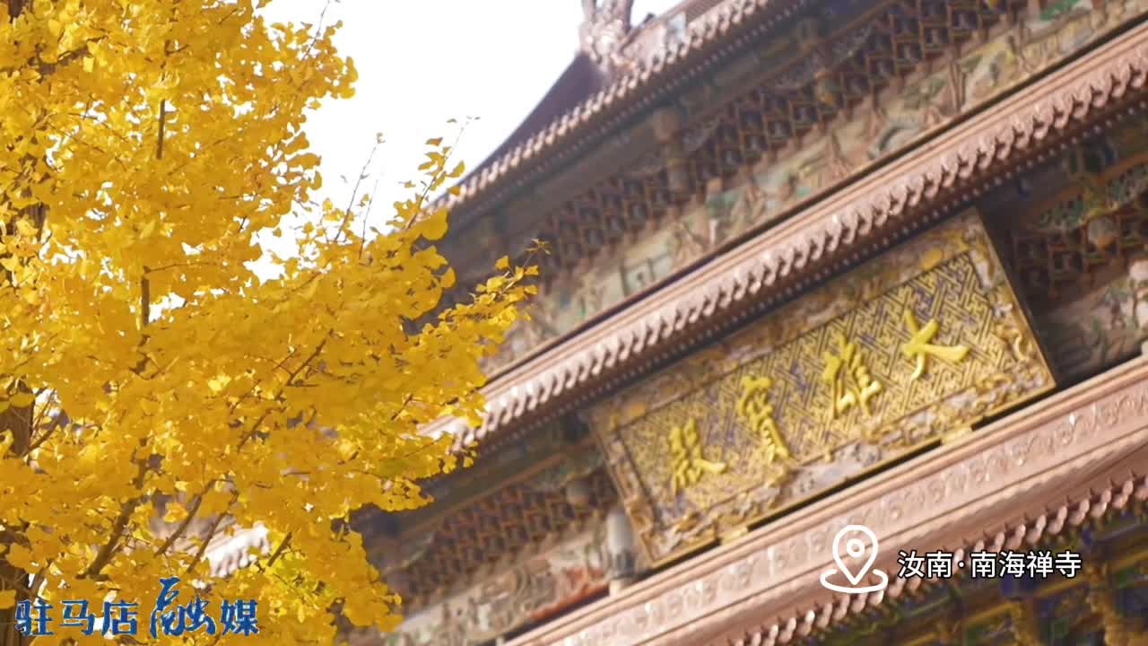 【大美天中·冬趣】初冬的南海禅寺：银杏披“金”  禅意幽宁